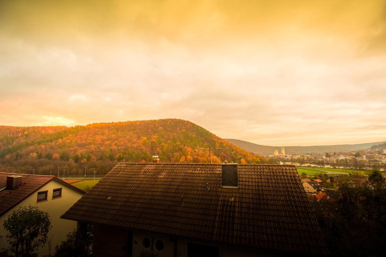 Mainzimmer - Business Apartments Hasloch  エクステリア 写真
